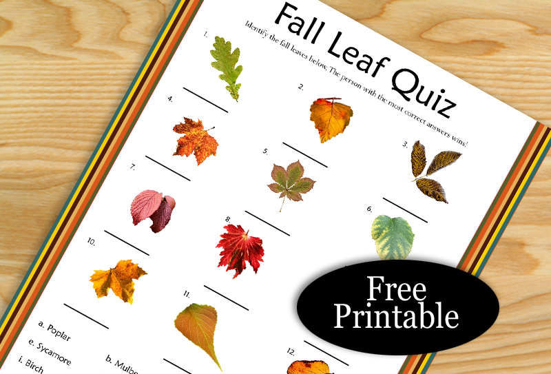 Free Printable Fall Leaf Quiz with Key